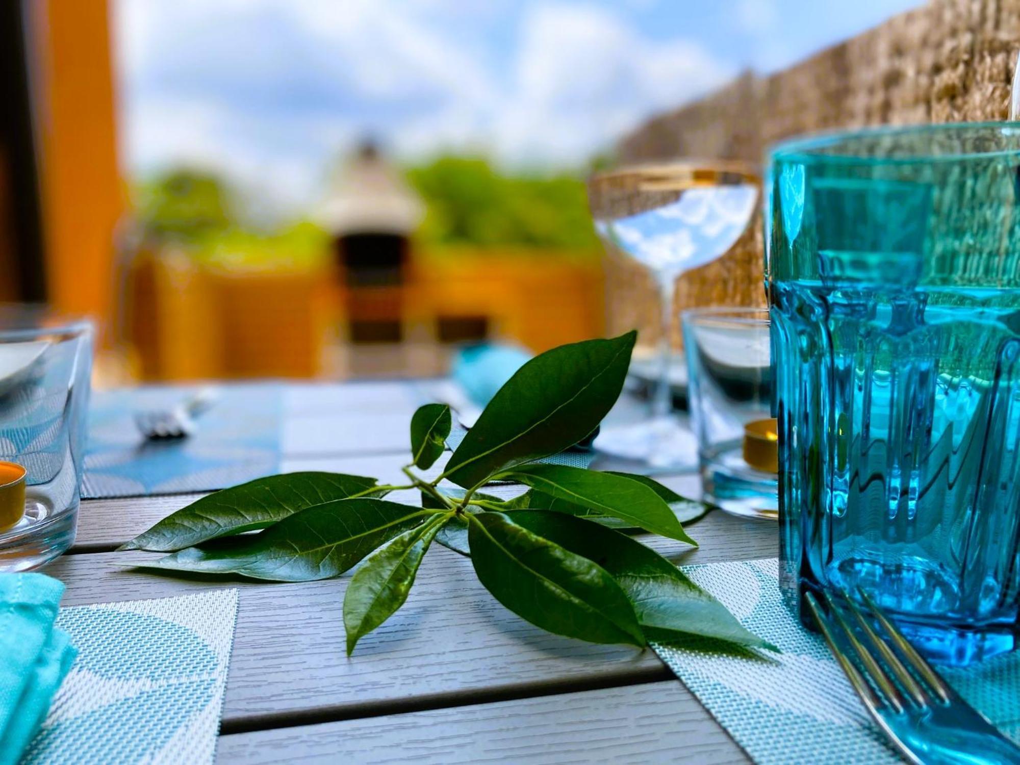 Morera Blanca Piscina, Barbacoa, Chill-Out San Mateu de Bages エクステリア 写真